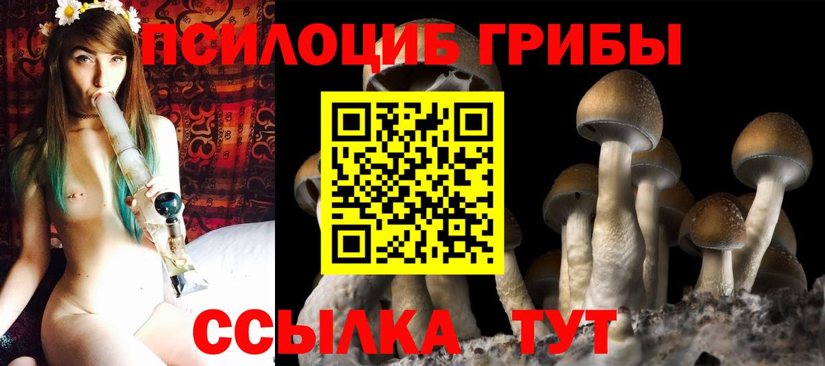 Волжский  Псилоцибиновые грибы прущие грибы  Вход с VPN 