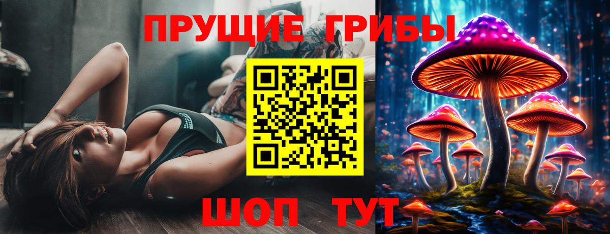 Галлюциногенные грибы GOLDEN TEACHER Волжский
